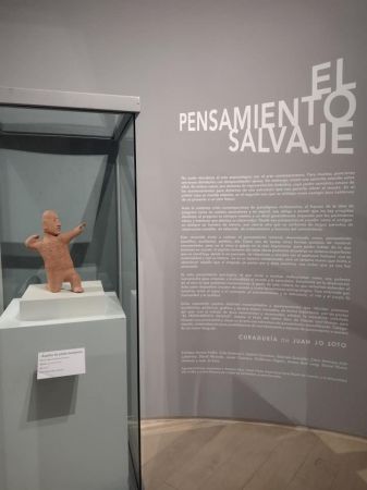 Exhibition: "Wild Thought"