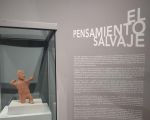 Exhibition: "Wild Thought"