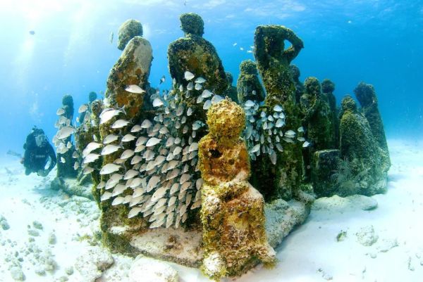 MUSA Underwater Museum Snorkeling Tour