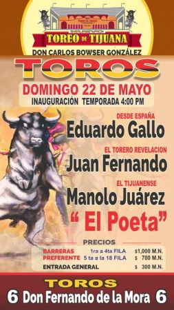 GREAT BULLFIGHT