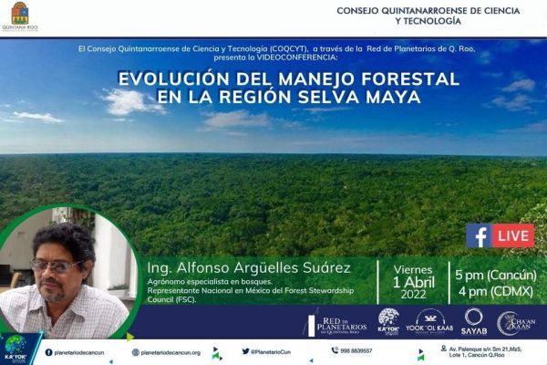 EVOLUCIÓN DEL MANEJO FORESTAL EN LA REGIÓN SELVA MAYA - Online