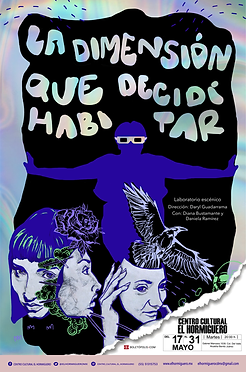 Espectáculo: "LA DIMENSIÓN QUE DECIDÍ HABITAR"