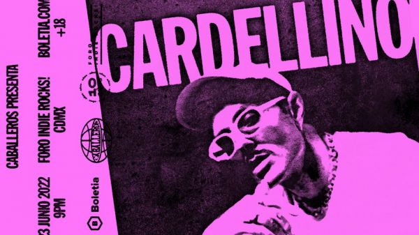 Cardellino