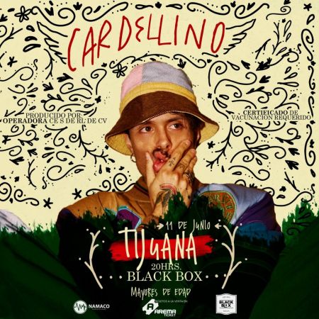 CARDELLINO