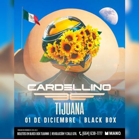 CARDELLINO