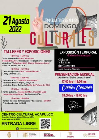 Domingos Culturales