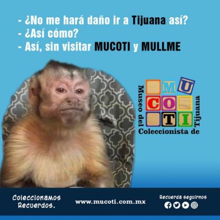 Visit the Museum of the Collectorist in Tijuana