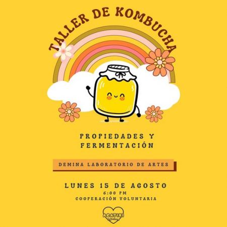 Taller de Kombucha