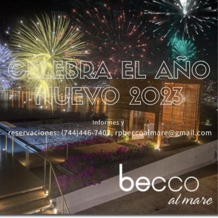 CELEBRA EL AÑO NUEVO