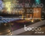 CELEBRA EL AÑO NUEVO