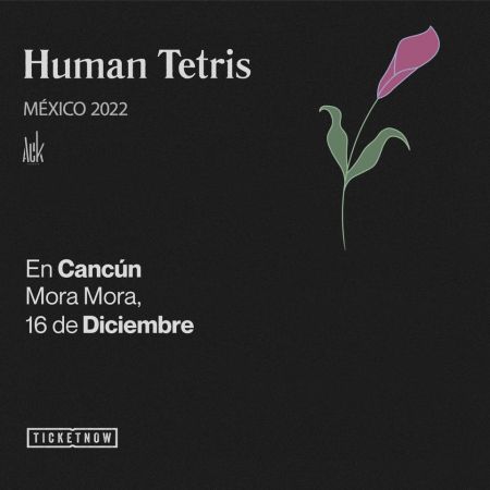 Human Tetris