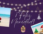 Camping y cena de año nuevo