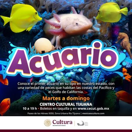 Acuario del Cecut