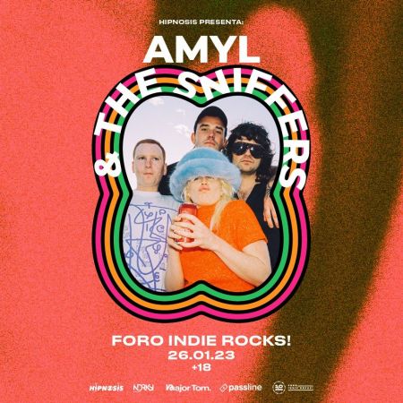 Amyl and The Sniffers