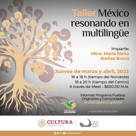 Workshop: "Mexico resonating in multilingual"