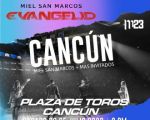 Miel San Marcos
