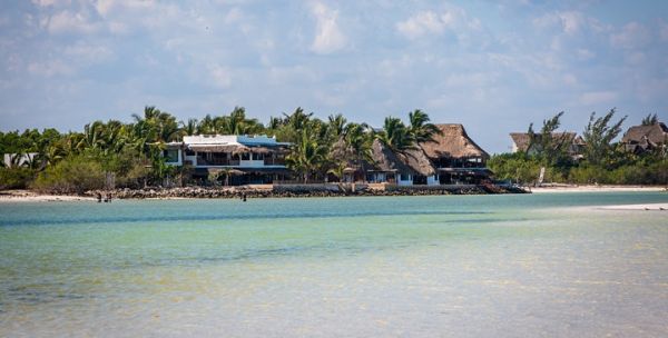 Lotus House of Yoga Beach Retreat (Wellness or Teacher Training Fusion)