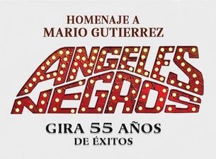 Los Ángeles Negros