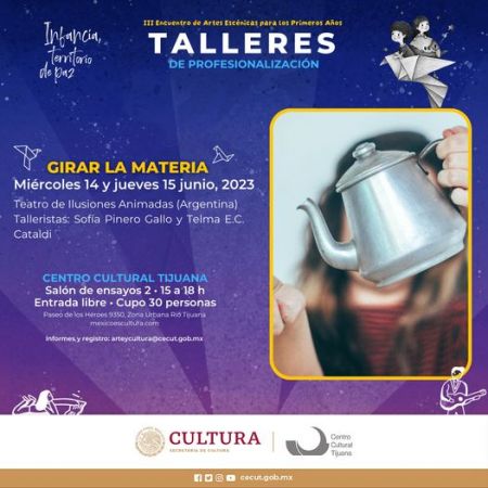 Talleres de profesionalización
