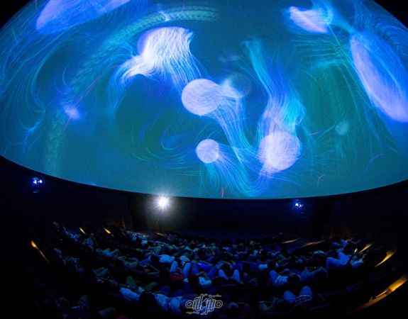 The Pink Floyd Spatial Dome Show