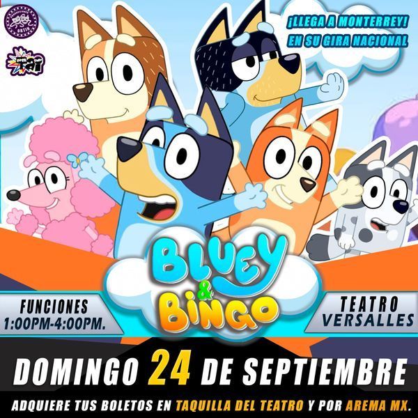 Bluey & Bingo - Various events 