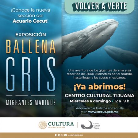 Exposición: "Ballena Gris"
