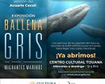 Exposición: "Ballena Gris"