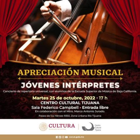 Apreciación musical: Jóvenes intérpretes