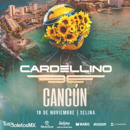 Cardellino