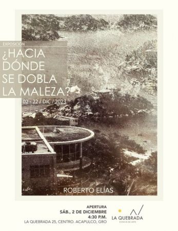 Exposición: ¿Hacia dónde de dobla la maleza? | Roberto Elías