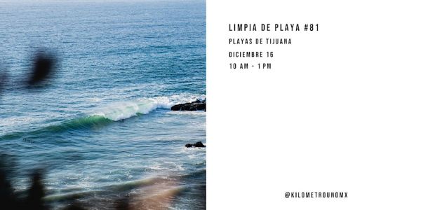 Limpia de playa #81