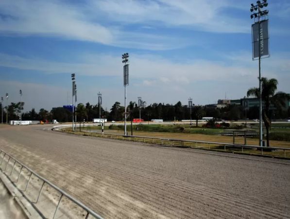 Carreras De Caballos
