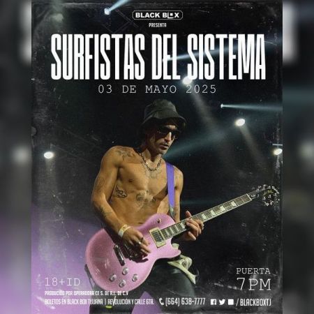 Surfistas del Sistema