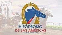 Horse races