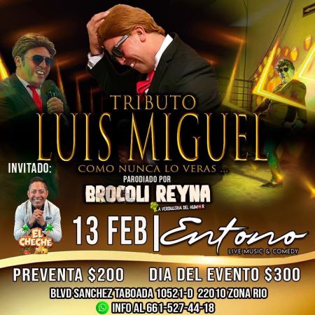 Tribute to Luis Miguel by Brocoli Reyna