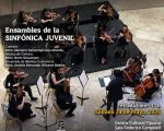 Ensambles de la Sinfónica Juvenil