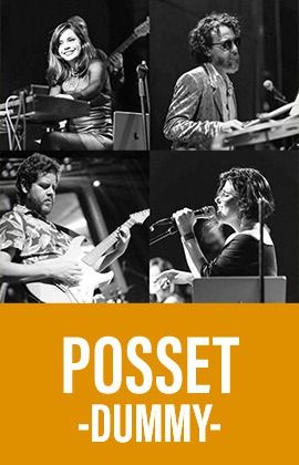 Posset - Dummy