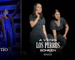 Espectáculo: "A veces los perros sonríen"