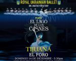 Royal Ukrainian Ballet: "Swan Lake"