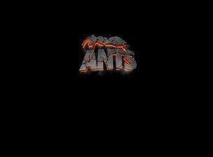 Ants
