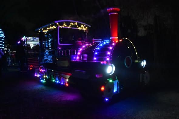 Bosque navideño iluminado