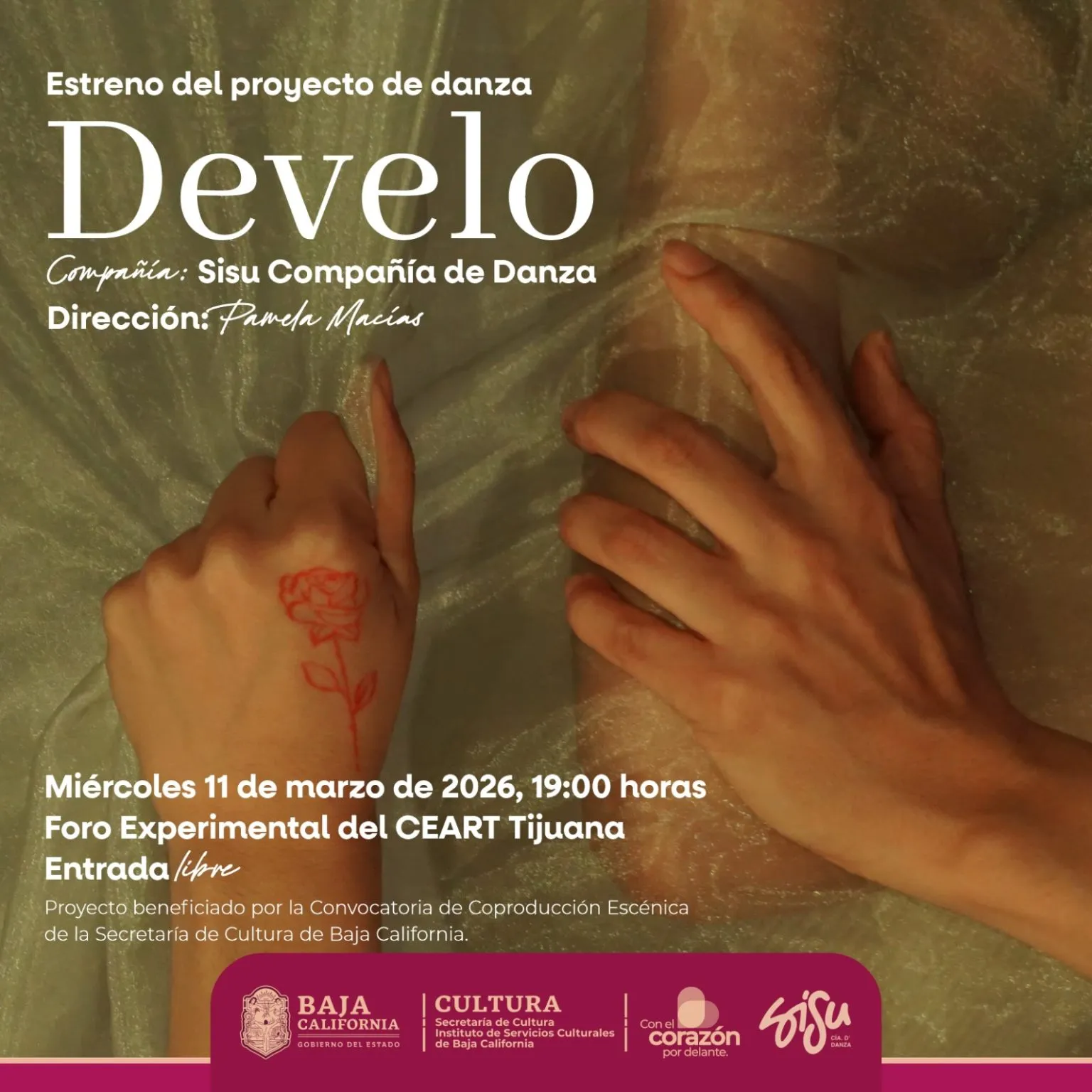 Proyecto de Danza: Develo