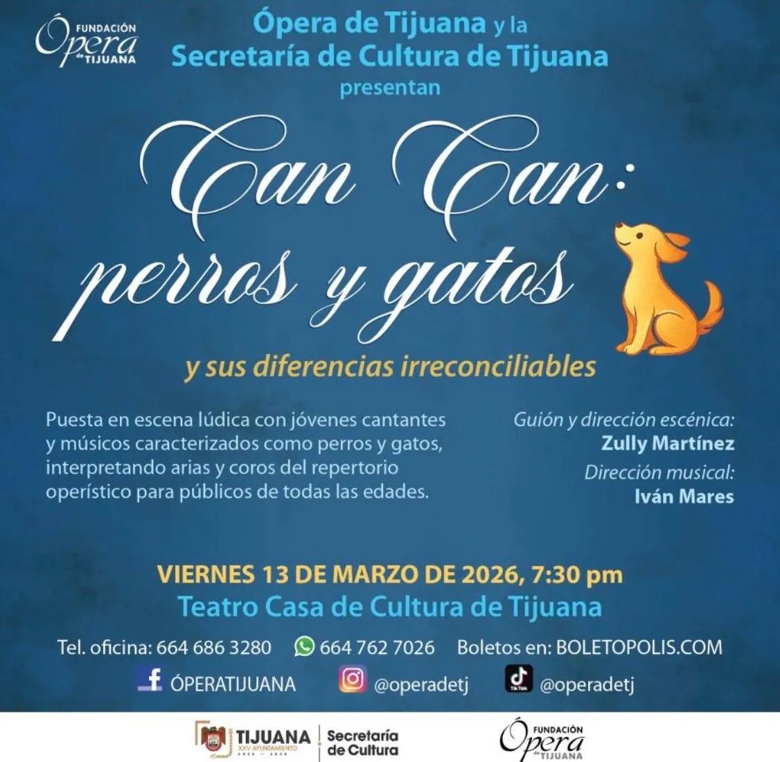 Performance "Can Can: dogs and cats"