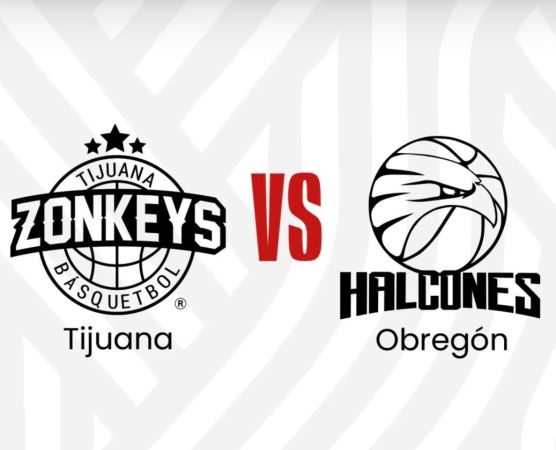 Zonkeys vs Halcones