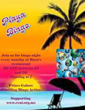 Bingo Night