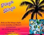 Bingo Night