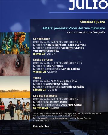 Calendar of activities