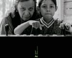 Moscas (México, España, 2026, 102 min). Drama. Clasificación B | Dir. Fernando Eimbcke