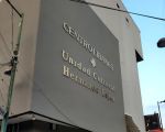 Nuevo Teatro Libanés